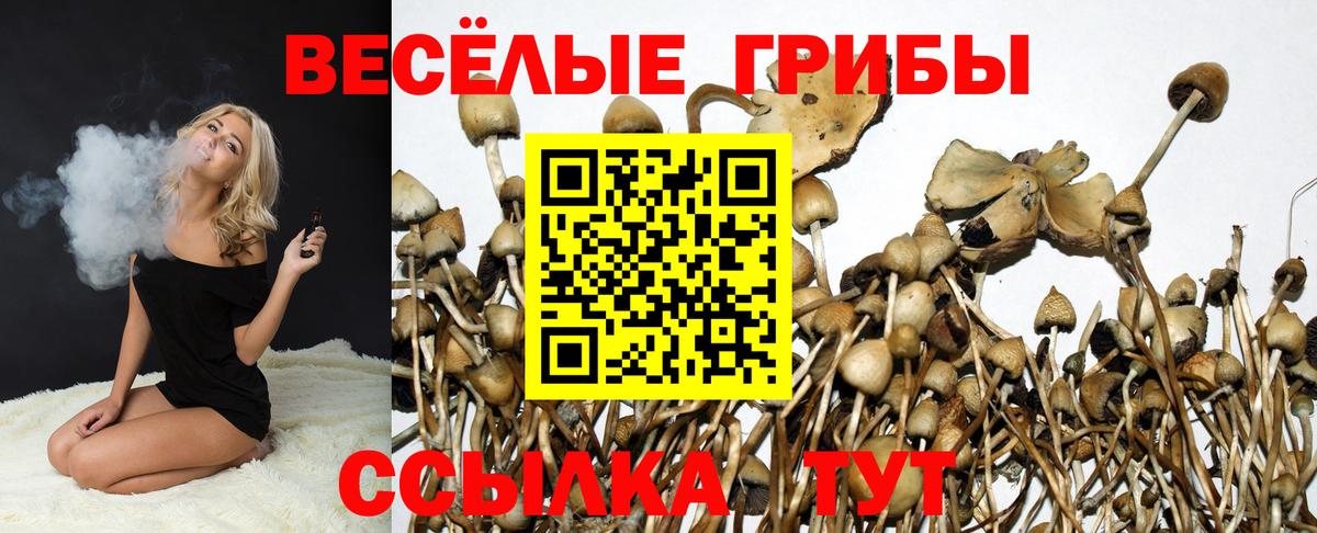 Псилоцибиновые грибы прущие грибы Ишим