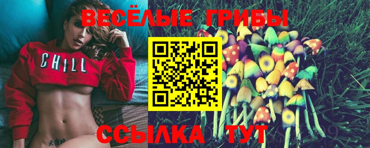 Галлюциногенные грибы мухоморы  Вход с VPN  Ишим 